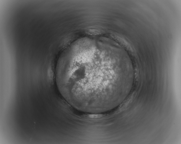 X0000102280371200808081507