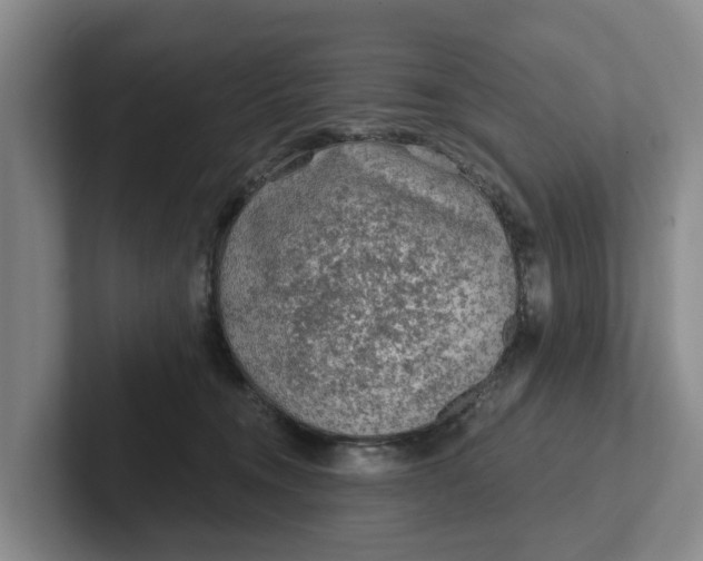 X0000102280372200808081507