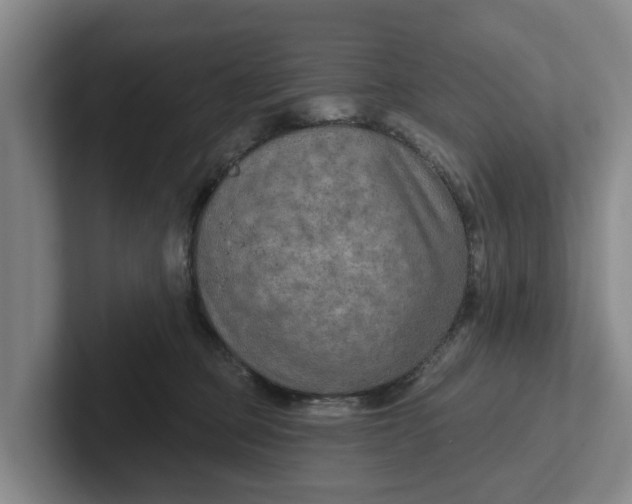 X0000102280373200808081507