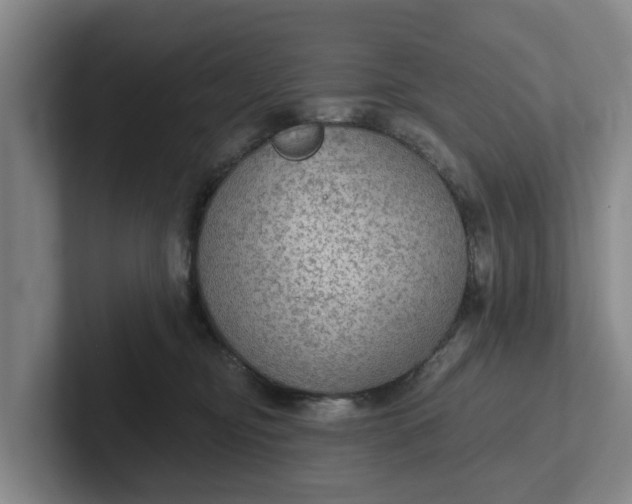 X0000102280374200808081507