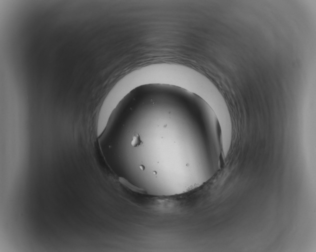 X0000102280376200808081507