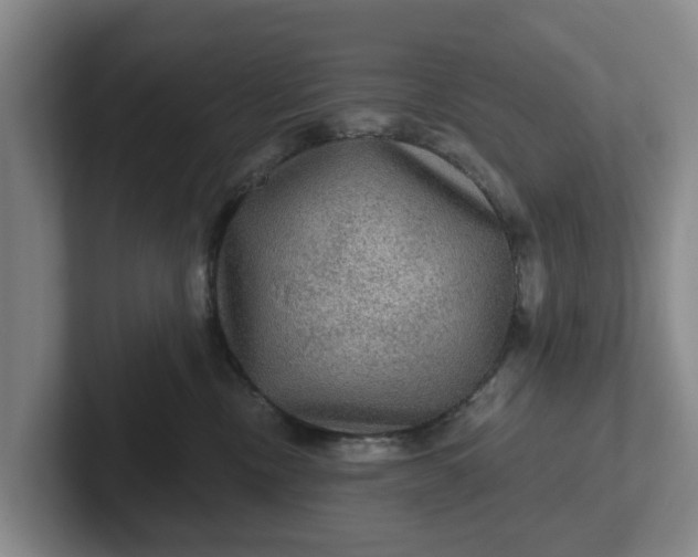 X0000102280378200808081507