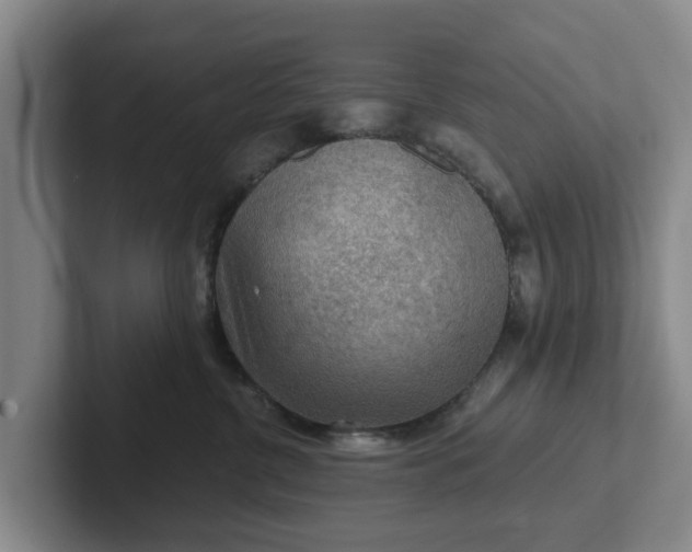 X0000102280380200808081507