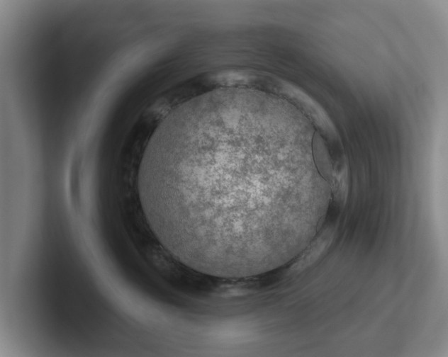 X0000102280381200808081507