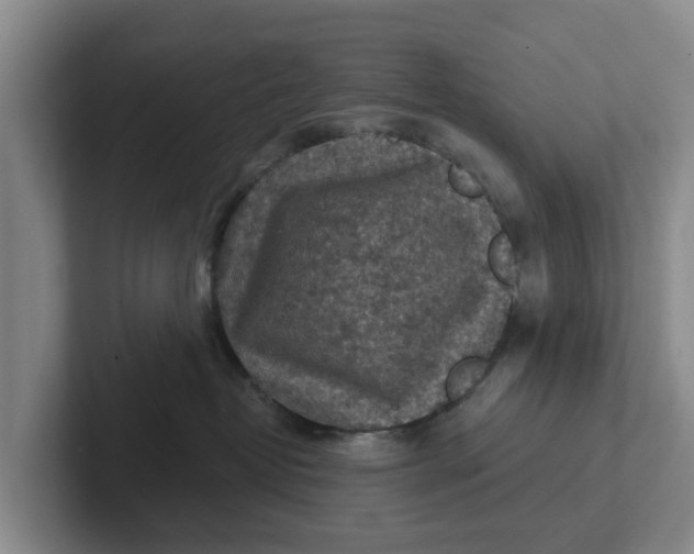 X0000102280382200808081507