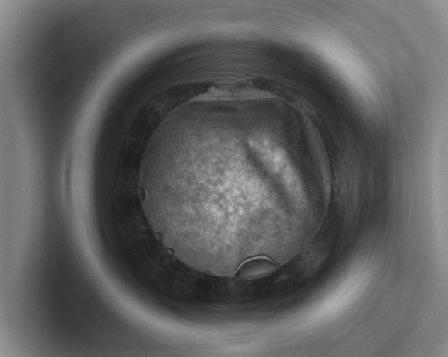 X0000102280383200808081507