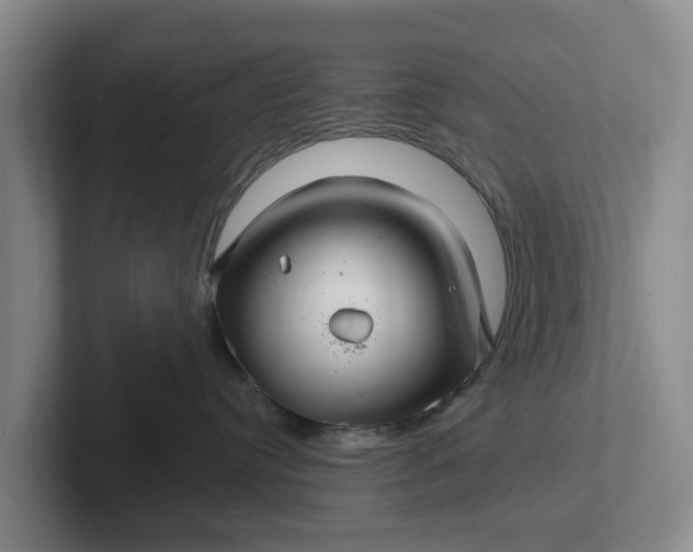 X0000102280384200808081507