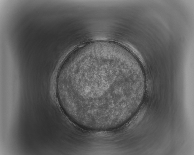 X0000102280385200808081507