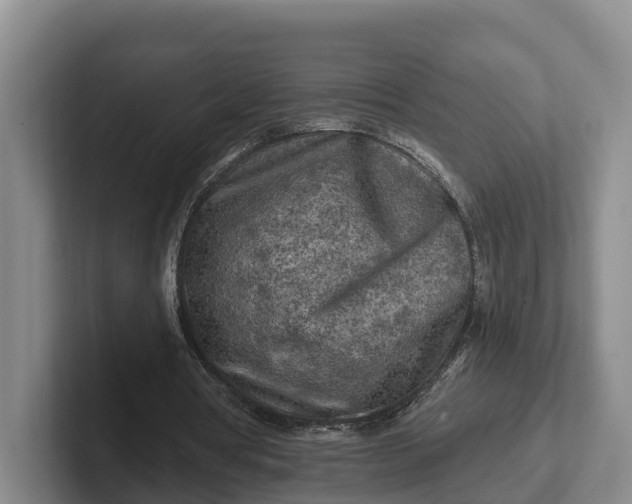 X0000102280386200808081507