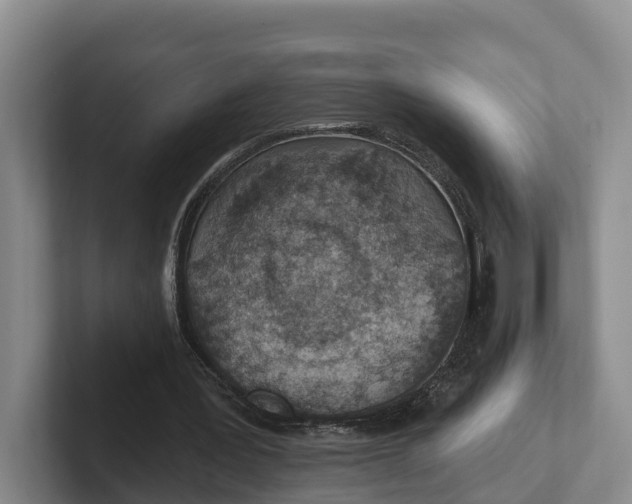 X0000102280387200808081507