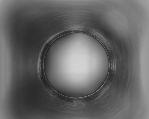 X0000102280388200808081506