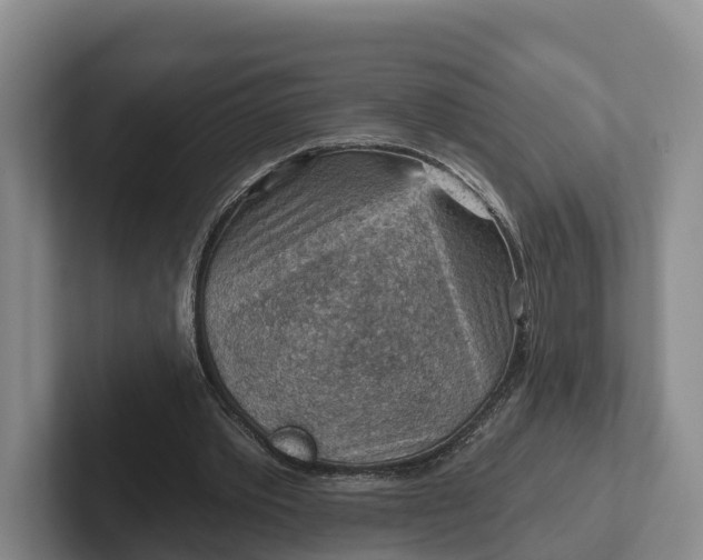 X0000102280389200808081506