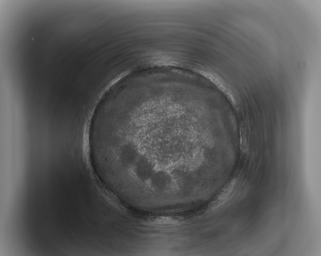 X0000102280390200808081506