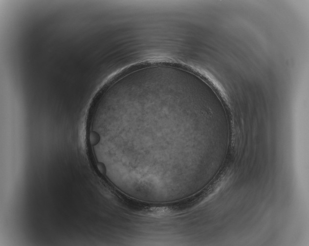 X0000102280391200808081506