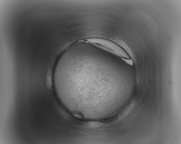 X0000102280393200808081506