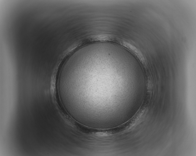 X0000102280394200808081506