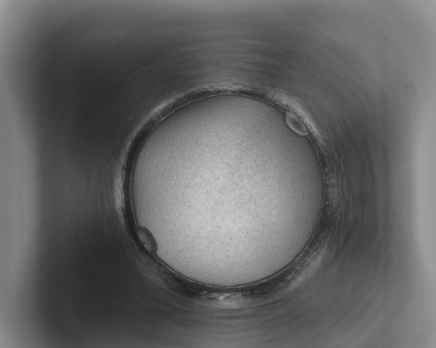 X0000102280395200808081506