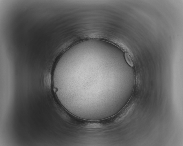 X0000102280397200808081506