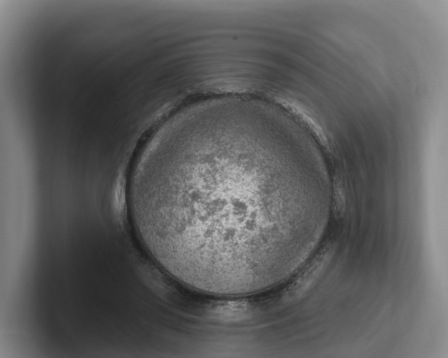 X0000102280398200808081506