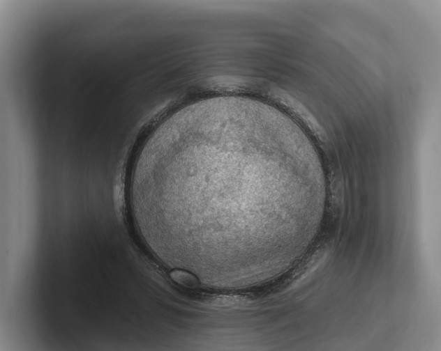 X0000102280399200808081506