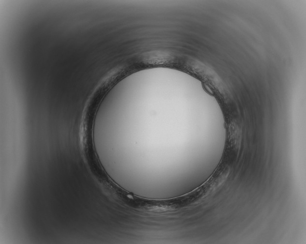 X0000102280400200808081506