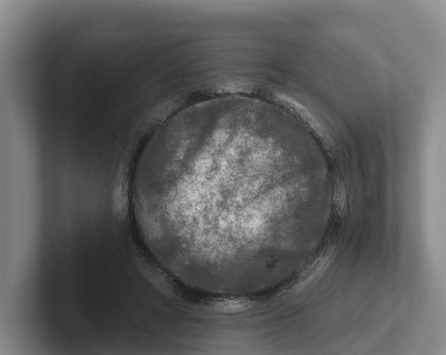 X0000102280402200808081506