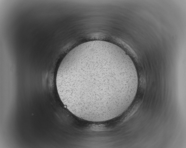 X0000102280403200808081506