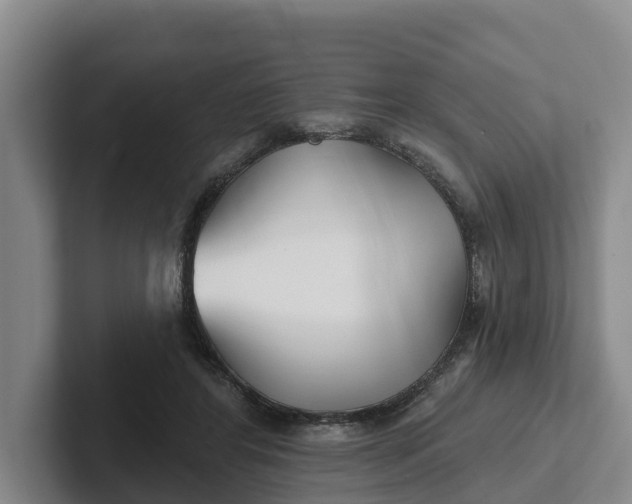 X0000102280404200808081506