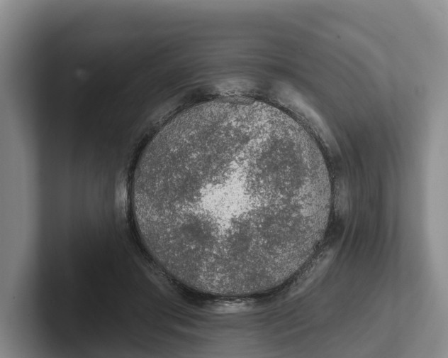 X0000102280405200808081506