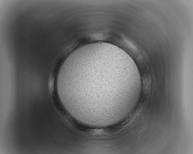 X0000102280406200808081506