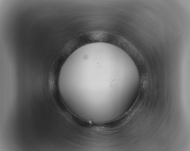 X0000102280408200808081506