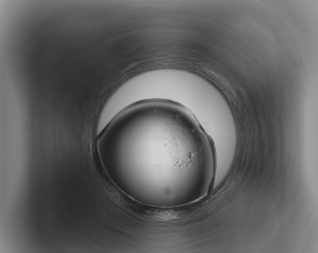 X0000102280409200808081506