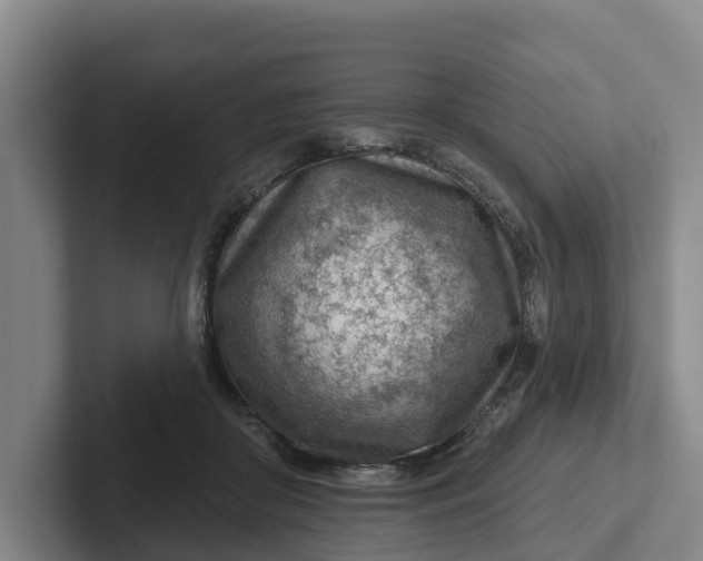 X0000102280410200808081506