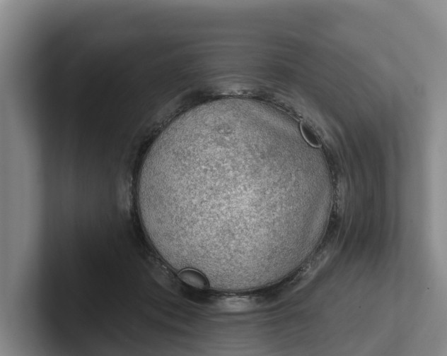 X0000102280413200808081506