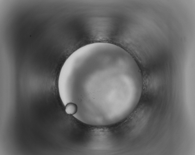 X0000102280415200808081506