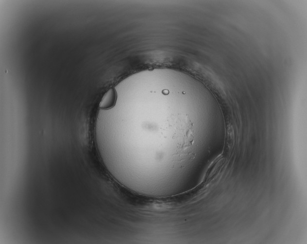 X0000102280416200808081506