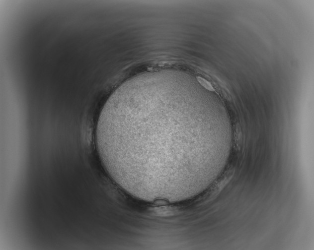 X0000102280417200808081506