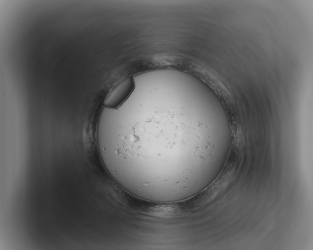 X0000102280418200808081506