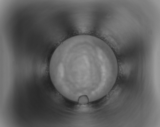 X0000102280419200808081506