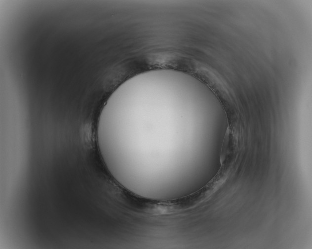 X0000102280420200808081506