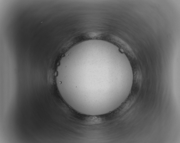 X0000102280421200808081506