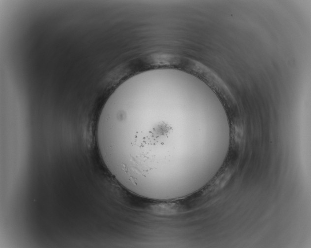 X0000102280422200808081506