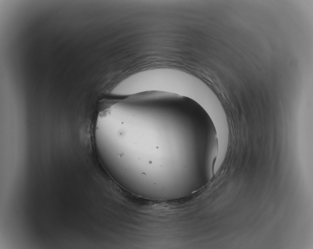 X0000102280423200808081506