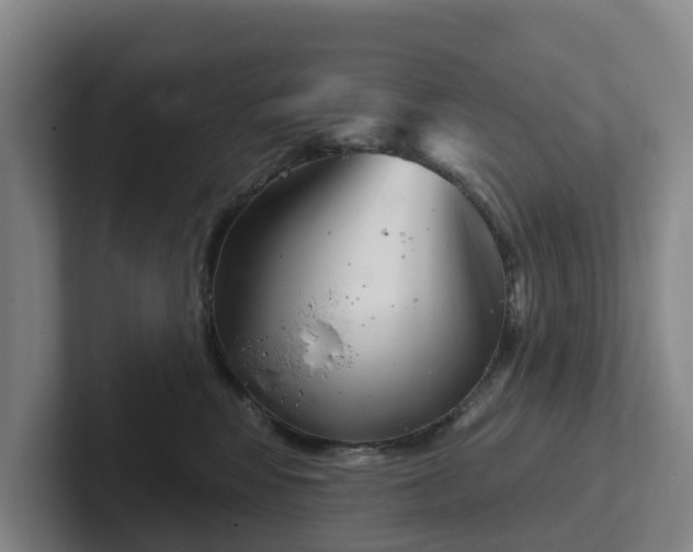 X0000102280424200808081506