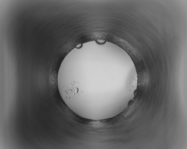 X0000102280425200808081506