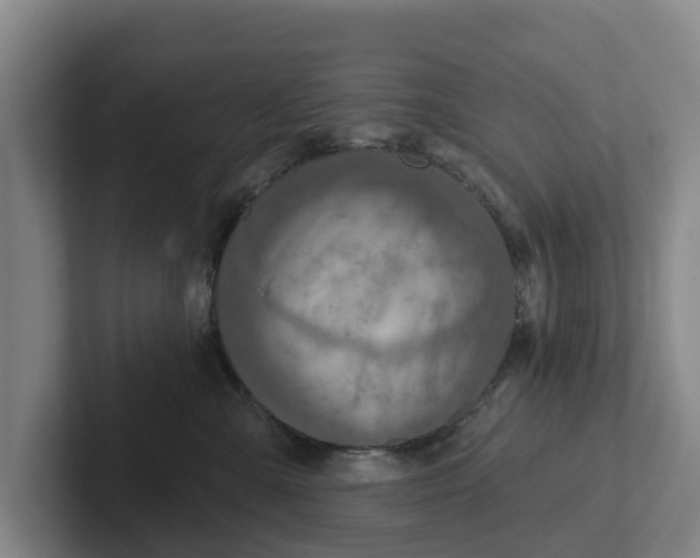 X0000102280427200808081506