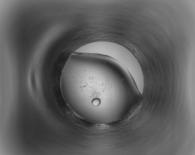 X0000102280429200808081506