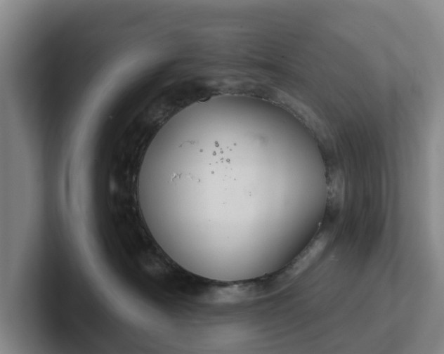 X0000102280430200808081506