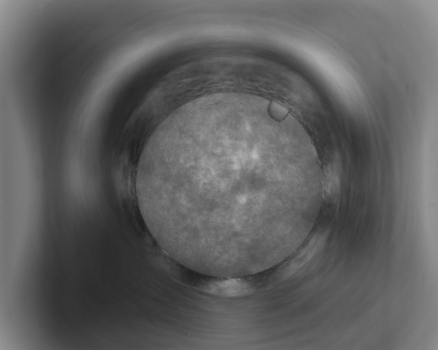 X0000102280431200808081506