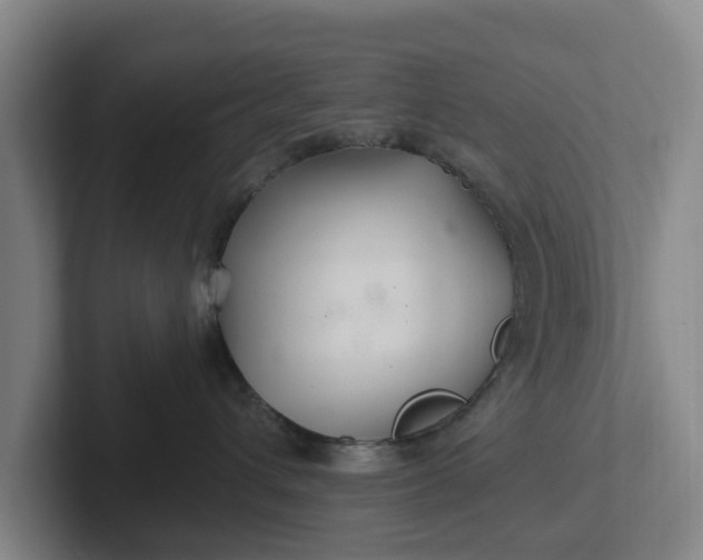 X0000102280432200808081506